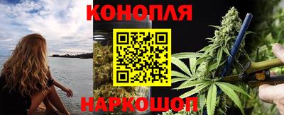 тгк Новодвинск