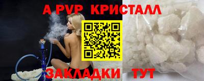 тгк Новодвинск
