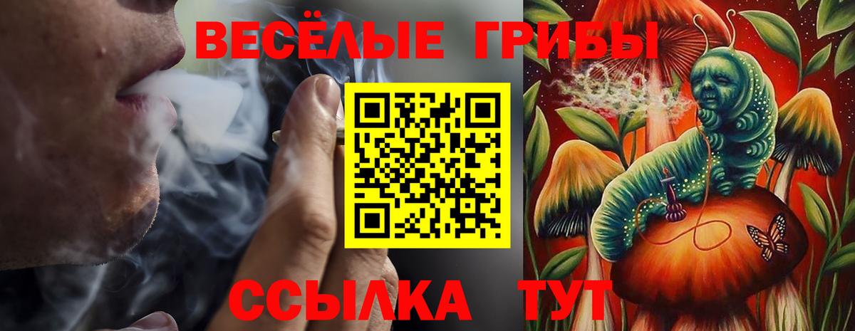 Псилоцибиновые грибы Psilocybine cubensis Татарск